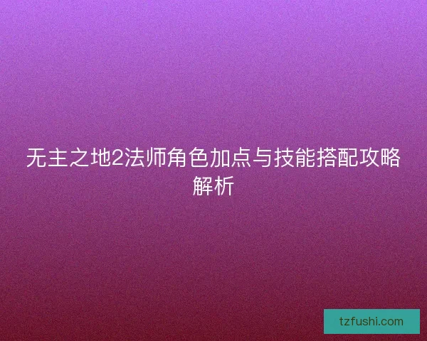 无主之地2法师角色加点与技能搭配攻略解析
