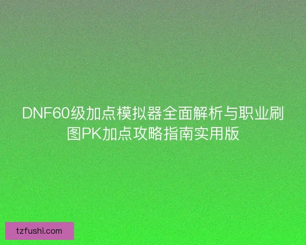 DNF60级加点模拟器全面解析与职业刷图PK加点攻略指南实用版