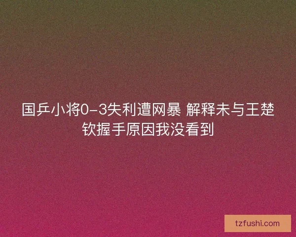 国乒小将0-3失利遭网暴 解释未与王楚钦握手原因我没看到