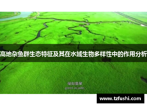 高地杂鱼群生态特征及其在水域生物多样性中的作用分析