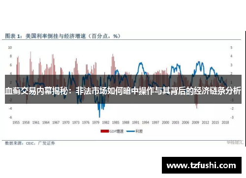 血蓟交易内幕揭秘：非法市场如何暗中操作与其背后的经济链条分析